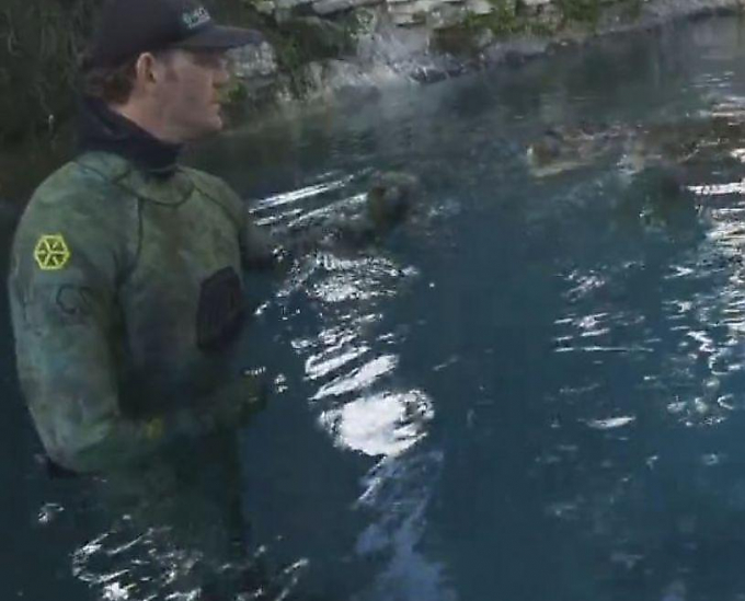 Любители острых ощущений забрались в водоём к ручному крокодилу в США ▶