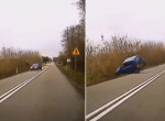 Олень сбил в кювет легковушку в Польше