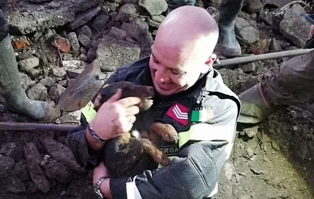 Пожарные спасли двух псов, угодивших в лисью нору в Италии