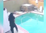 Владелец пса предотвратил трагедию и прыгнул в бассейн за своим питомцем ▶