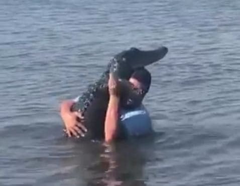 Встреча друзей: молодой человек станцевал с крокодилом в водоёме в США (Видео)