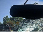 Грузовик наехал на черепаху, которая разбила лобовое стекло автомобиля ▶ 1