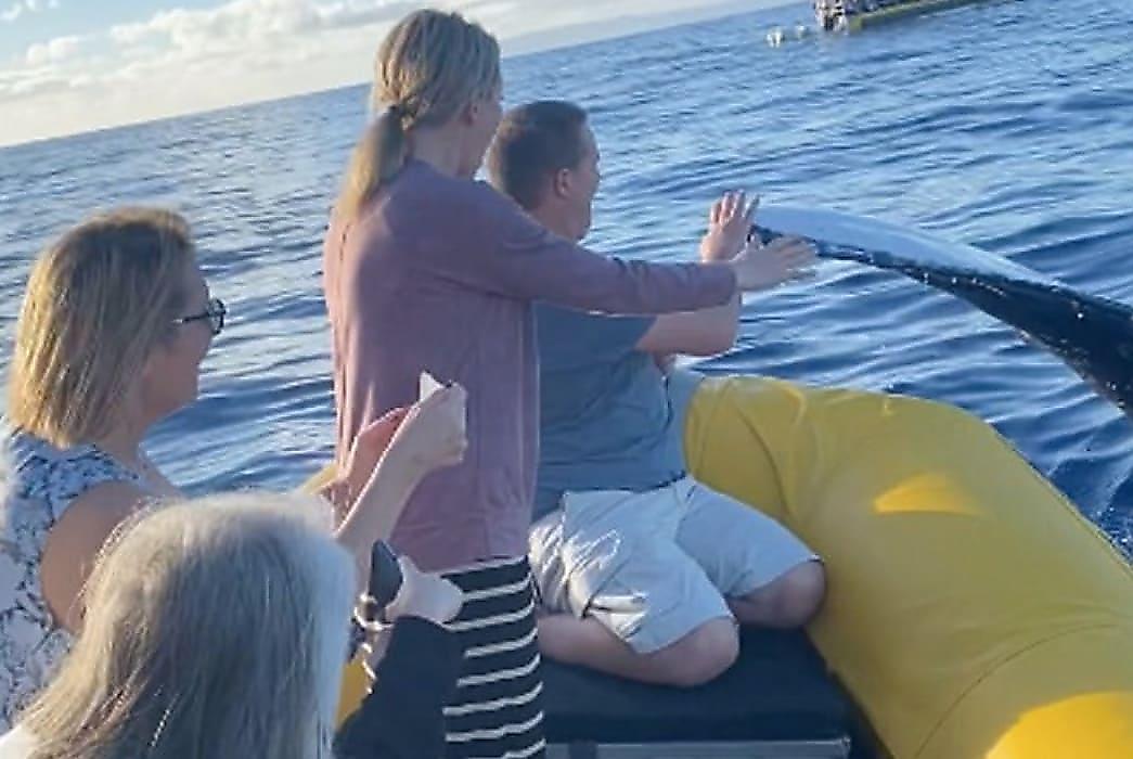Дружелюбный кит, выставив из воды плавник, «дал пять» туристам на судне
