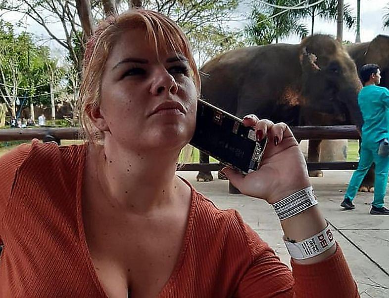 Орангутан лишил телефона туристку в зоопарке на Бали ▶