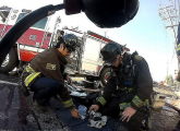 Пожарные спасли трёх щенков и вытащили их из горящего зоомагазина в США 3