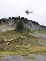 Сотни горных коз подверглись депортации на вертолётах из американского заповедника (Видео) 0