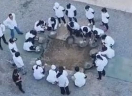 Китайские студенты кулинарного института проходили практику в песочнице (Видео)