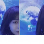 Тюлень украсил селфи посетительнице океанариума в Шанхае