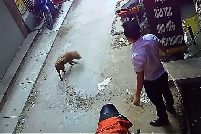 Вьетнамский лавочник спас собаку, попытавшуюся перепрыгнуть через сточную канаву (Видео)