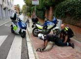 Полицейские не смогли взять живой сбежавшую от хозяина эму в Испании (Видео) 1