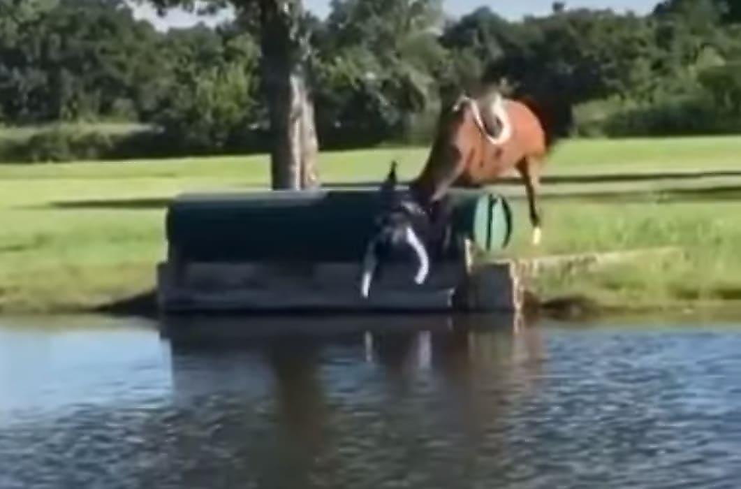 Упрямая лошадь не пожелала мочиться и скинула седока в водоём