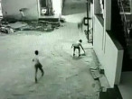 Индийский школьник случайно спас, свалившегося с балкона друга (Видео)