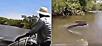 Рыбак за хвост поймал гигантскую анаконду в бразильской реке