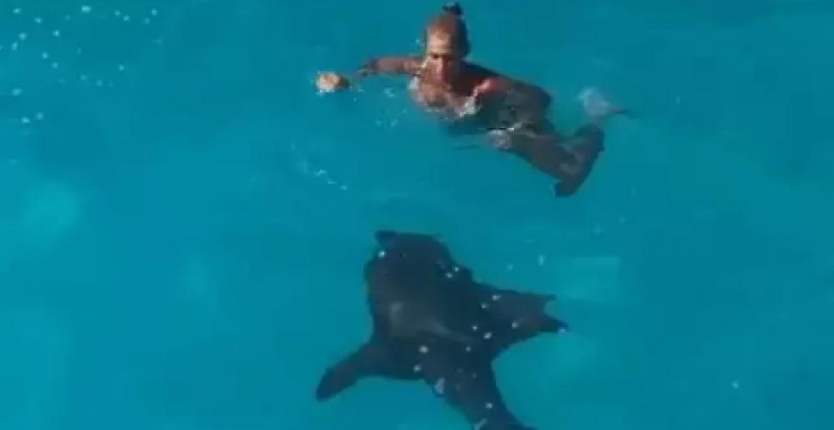 Туристка, скатившись с надувной горки, не заметила плавающую рядом акулу