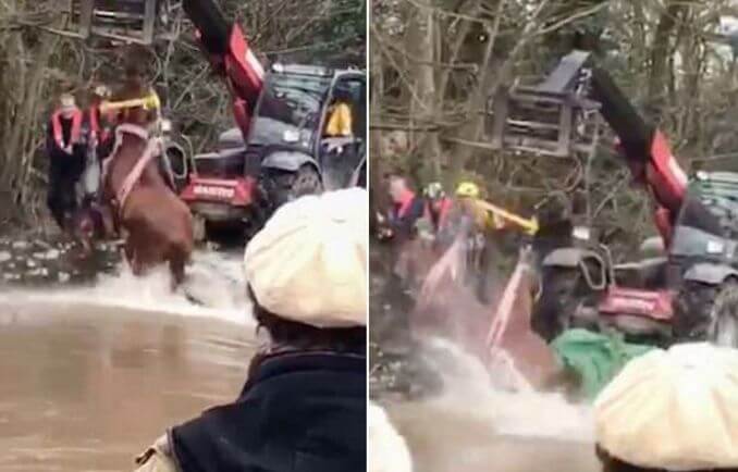 Скаковую лошадь, прыгнувшую в водоём, на протяжении трёх часов вытаскивали в Британии (Видео)