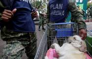 Служебная собака, обнаружившая 12 человек под завалами, стала национальной героиней в Мексике (Видео) 7