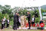 В китайском зоопарке поженили двух альпак (Видео) 4
