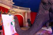 Картины, написанные индийским слоном выставили на аукцион в венгерском цирке. (Видео) 0