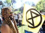 Активисты «восстания вымирающих» устроили полуголое шествие по улицам Мельбурна ▶ 2