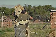 Любитель диких животных создал свой заповедник для хищников в ЮАР ▶