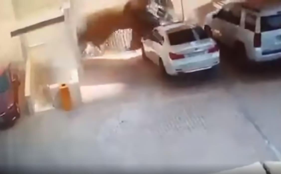 Автомобилист чудом не пострадал во время оползня на автостоянке - видео