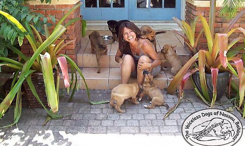 Жительница Багамского острова спасла от урагана 97 бездомных псов, приютив их в своей спальне