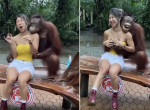 Бесстыдный примат смутил туристку во время фотосессии - видео