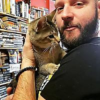 Книжный магазин, ставший питомником для котят, пользуется огромной популярностью в Канаде 3