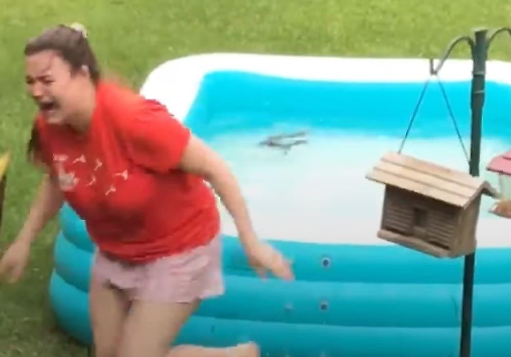 Белка проучила девицу, спасшую её из бассейна