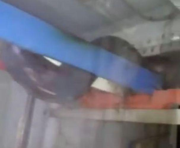 Гигантский питон на свою беду попытался проползти через электрощитовую в Тайланде