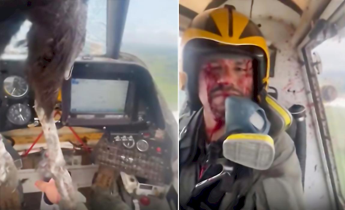 Пилоты самолёта пережили столкновение с огромной птицей в небе над Эквадором