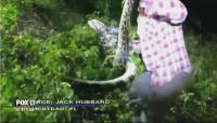 Спасатели отбили аллигатора у питона в американском заповеднике (Видео)