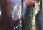 Американский пасечник совершил экстремальную поездку с 18000 пчёл в салоне автомобиля (Видео)