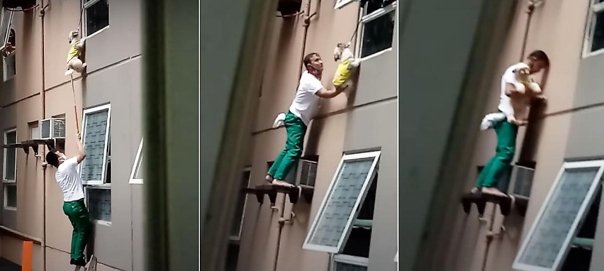 Драматичное спасение собаки, повисшей на окне, попало на видео в Маниле