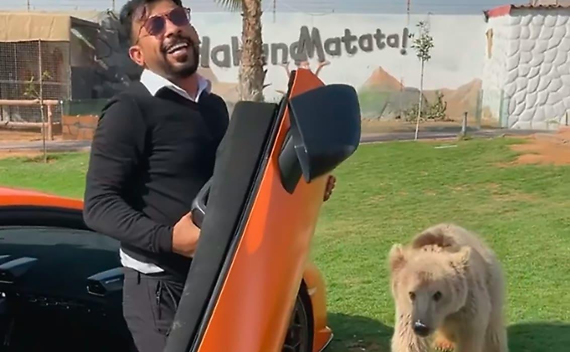Медведь лишил двери Lamborghini и рассмешил арабского шейха