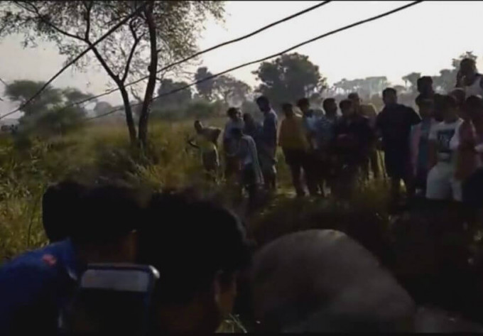 Семь слонов погибли при попытке пройти под проводами ЛЭП в Индии (Видео)