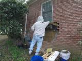 Пчелиный спасатель разобрал кирпичную стену жилища, чтобы ликвидировать «незаконный» улей (Видео) 2