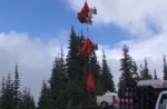 Сотни горных коз подверглись депортации на вертолётах из американского заповедника (Видео)