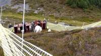 Сотни горных коз подверглись депортации на вертолётах из американского заповедника (Видео) 3