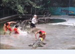 Падение участника шоу с крокодилами, повергло в панику его коллег в Китае (Видео)