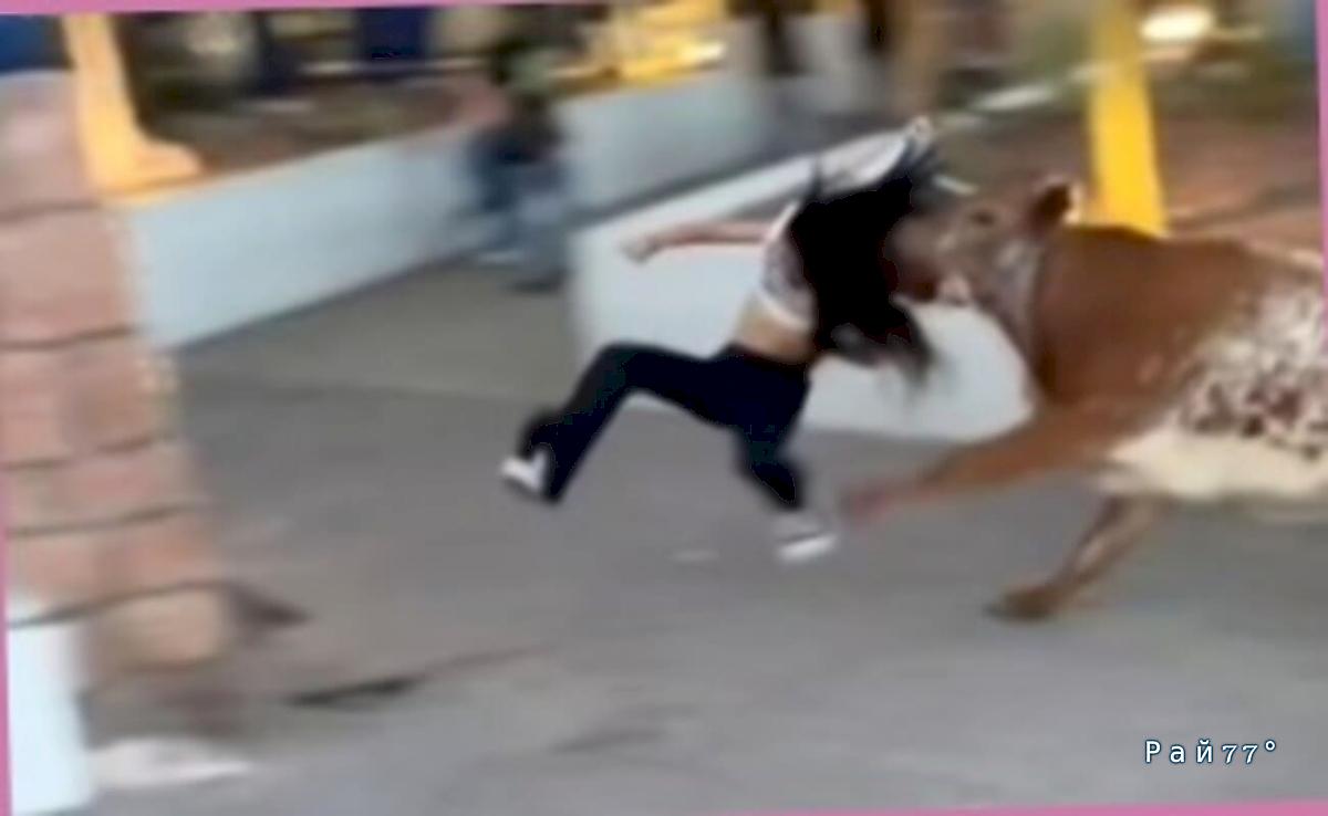 Бык едва не растерзал девушку во время забега в Мексике ▶️ Бык едва не растерзал девушку во время забега в Мексике ▶️