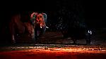 Носорог сильно пожалел, что связался с перевозбуждённым слоном в ЮАР
