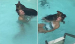 Собака не оценила шутки своей хозяйки и спасла якобы тóнущую девушку (Видео)