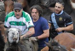 Тысячи испанцев приняли участие в массовой «объездке» диких лошадей в Галисии. (Видео) 6