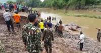 Слон, застрявший в реке в течение 24 часов, был спасен в Таиланде. (Видео) 0