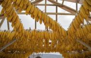 Китайский фермер построил хижину из 30000 кукурузных початков. (Видео) 5