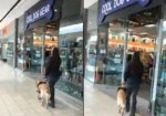 Собака - поводырь, которая не может пройти мимо любимого зоомагазина, стала знаменитой в интернете (Видео)