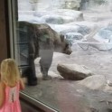 Медведь поднял детишкам настроение, ответив на позыв желудка в американском зоопарке (Видео)