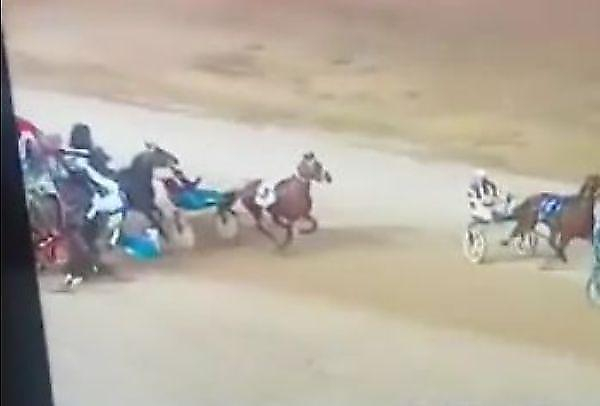 Три лошади столкнулись во время забега с тележками в Австралии ▶