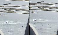 Дрейфующая по кругу лодка с собакой на борту попала на видео в США